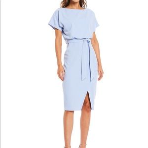 Kenzie | Textured Knit Boat Neck Tie Waist Short Sleeve Blouson Dress | Size 14